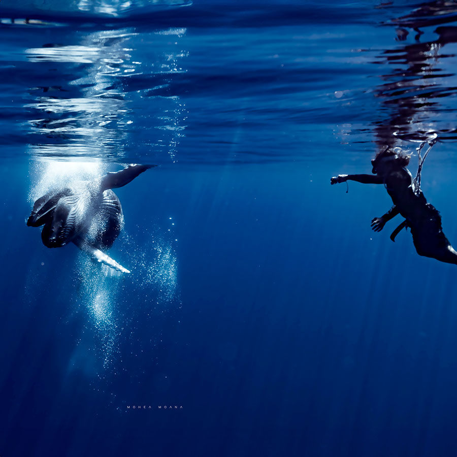Nageur avec une baleine Nageur avec une baleine