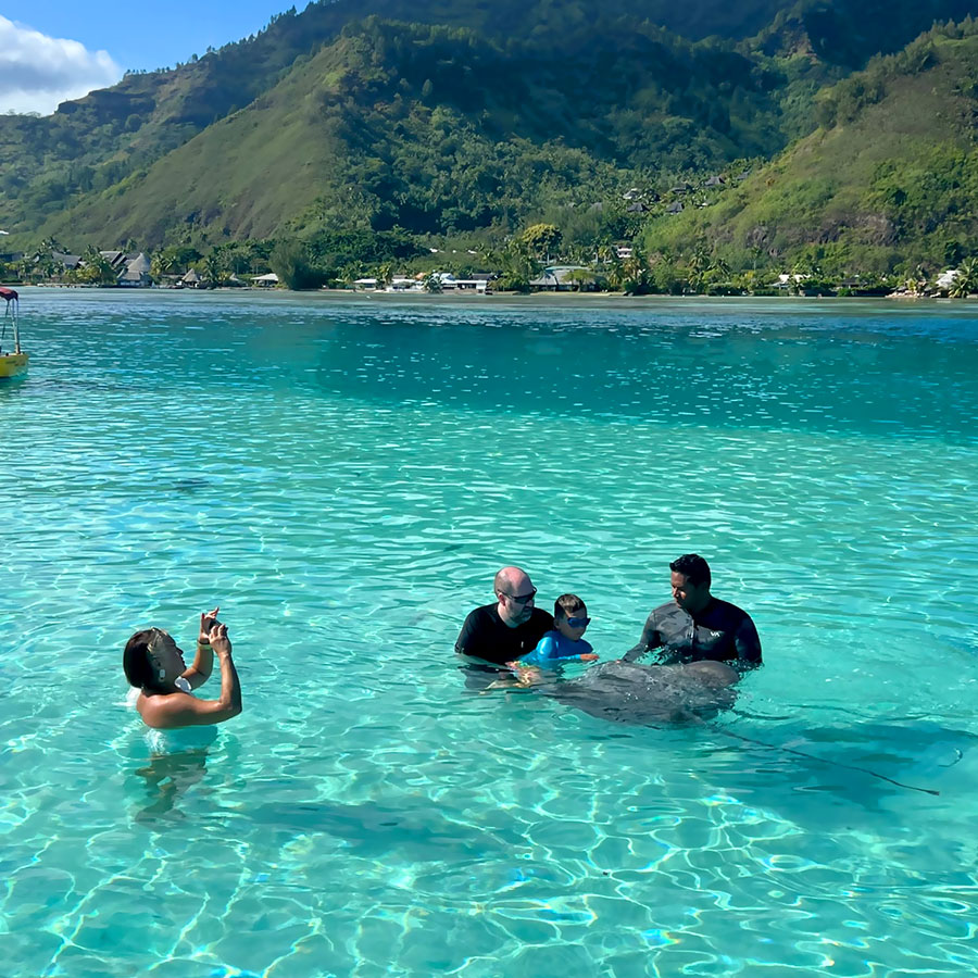 Raies du lagon de Moorea