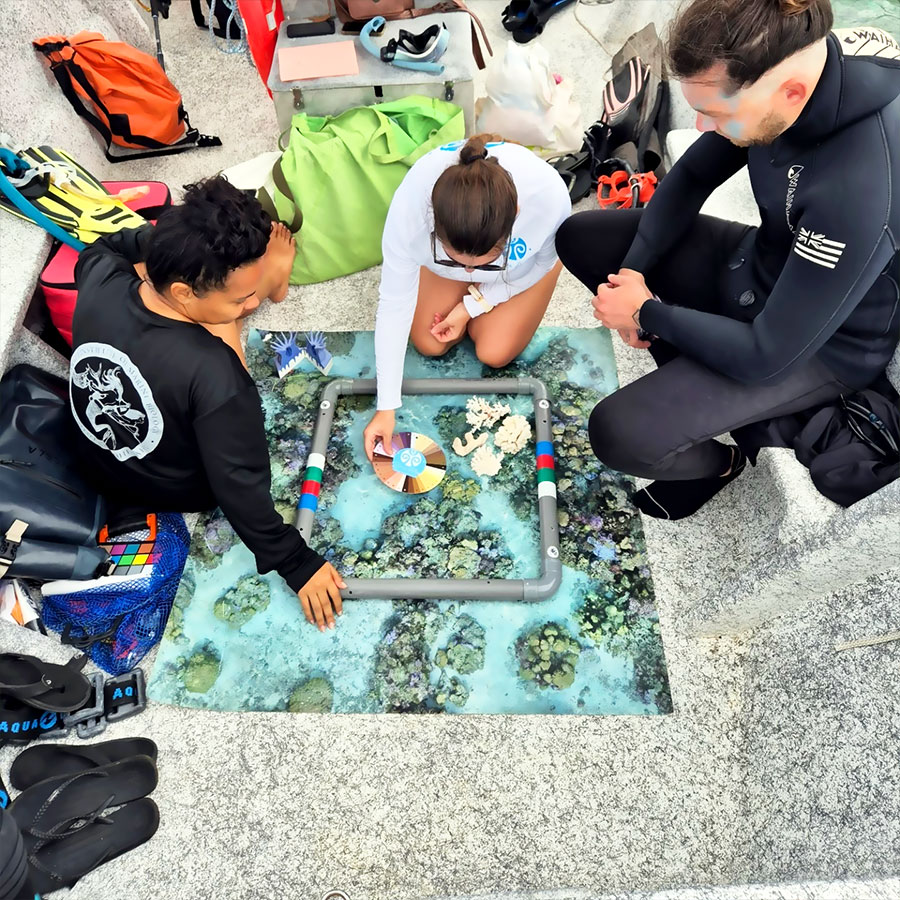 Analyse des résultats sur le bateau Analyse des résultats sur le bateau